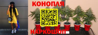альфа пвп VHQ Будённовск