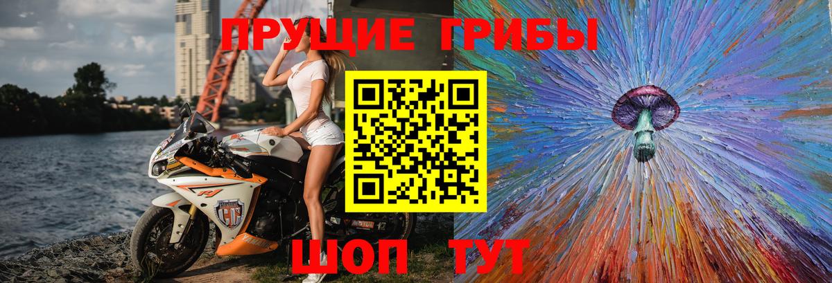 Галлюциногенные грибы мицелий Мурино